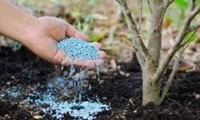 ذخیره 4هزار تنی انواع کود کشاورزی در استان یزد جهت کشت بهاره