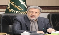 صندوق حمایت از باغستان سنتی و توسعه زیتون در قزوین راه اندازی شود