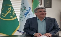 افزایش عملکرد واحد سطح زیرکشت گندم در دو سال آینده؛ ۵ تن در هکتار