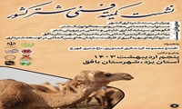 استان یزد میزبان اولین کنگره بین المللی شتر در کشور