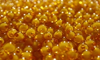 صادرات خاویار طلایی از چهارمحال و بختیاری 