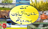 صرفه جویی ۲.۵ میلیون مترمکعبی آب در فامنین با اجرای الگوی کشت