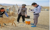 ‏۲۸‏‎ ‎روستای خراسان شمالی از خدمات جهاد دامپزشکی بهره‌مند شدند‎ ‎