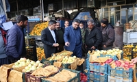 آغاز گشت مشترک سازمان جهاد کشاورزی کردستان و تعزیرات حکومتی در بازار