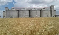 تقویت زیرساخت‌های ذخیره‌سازی کالاهای اساسی استان هرمزگان