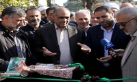 آغاز طرح مردمی کاشت یک میلیارد درخت در دبیرستان البرز
