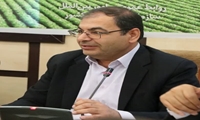 خود اتکایی در تولید گوشت قرمز (دام سبک ) با احداث مگافارم 