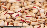 رتبه اول ایران در سطح زیر کشت باغات پسته و جایگاه دوم دنیا در تولید