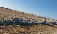 بررسی تغییر کاربری غیر مجاز اراضی استان بوشهر 