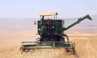  آغاز برداشت جو از مزارع شهرستان گرمسار