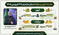 صادرات بیش از ۱۳۶ هزار تن کیوی و مرکبات مازندران به بازارهای هدف تا ۱۷ فروردین