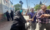 توزیع نهال توت اصلاح شده در سوادکوه شمالی با هدف توسعه نوغانداری در نماز جمعه شهرستان