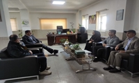 هم‌افزایی برای حفاظت از زنبورها/ شهرستان  بابل در مسیر مدیریت پایدار سموم کشاورزی