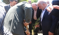 غرس نهال سرو به یاد ۱۶۸ شهید مدرسه شجره میناب در مازندران؛ میثاق با آرمان‌های ایثار