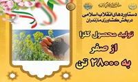  روایت دستاوردهای دولت وفاق ملی در کشاورزی استان مازندران/کلزا