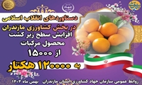  روایت دستاوردهای انقلاب اسلامی در کشاورزی استان مازندران/ تولید مرکبات