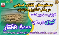  روایت دستاوردهای انقلاب اسلامی در کشاورزی استان مازندران/ تولید کیوی