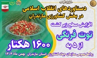 روایت دستاوردهای انقلاب اسلامی در کشاورزی استان مازندران/ تولید توت فرنگی