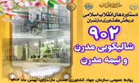 اینفوگرافی دستاوردهای دولت وفاق ملی در کشاورزی استان مازندران/شالیکوبی مدرن