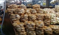 توزیع ۳۰ تن سیب‌زمینی تنظیم بازاری در قائم‌شهر