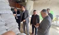 بازرسی سرزده و نظارتی کشیک نوروزی مدیرجهادکشاورزی شهرستان آمل 