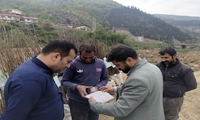 هشدار جهاد کشاورزی سوادکوه نسبت به توزیع نهال های فاقد شناسنامه