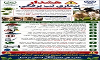 هشدار بیماری تب برفکی