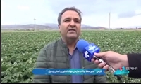کشاورزان توصیه‌های فنی را جدی بگیرند