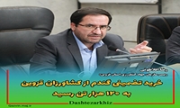خرید گندم تضمینی از کشاورزان استان به 120 هزار تن رسید