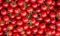 چیپس گوجه در قم تولید می‌شود