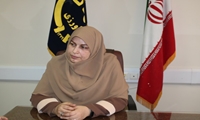 امسال 2 رقم جدید برنج به کشاورزان معرفی می‌شود