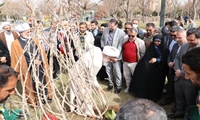 مراسم روز درختکاری در استان قزوین برگزار شد