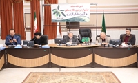 پیوند بین کشاورزی و فرهنگ در قالب جشنواره زیتون نمودار شد