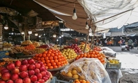 میوه و آجیل شب یلدا در قم تامین است/ نظارت مستمر بر بازار شب یلدا