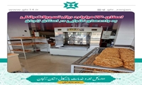 اعطای 230 میلیارد ریال تسهیلات بانکی به واحدهای نانوایی در استان زنجان