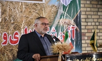 گندمکاران به شایعات توجه نکنند/گندم خریداری شده از قرار کیلویی 15 هزار تومان پرداخت می شود