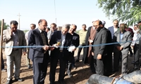 در چهارمین روز از هفته جهادکشاورزی؛ یک طرح آبیاری کم فشار در شهرستان بوئین زهرا افتتاح شد