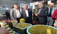 بازدید رییس سازمان جهاد کشاورزی استان از نخستین جشنواره روستایی و عشایری استان قزوین