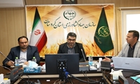 اجرای 94 درصدی برنامه‌های جهش تولید در دیمزارهای استان کردستان