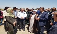 جشنواره گل محمدی در شهرستان بویین زهرا برگزار شد