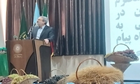 کشاورزی می تواند محور اساسی توسعه  استان قزوین باشد