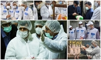 بیش از 170 هزار بازدید حاصل یک ماه اجرای طرح تشدید نظارت بهداشتی