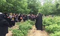 بازدید 40 نفر از کارشناسان و تسهیلگران زنان روستایی از گلستان های شهر کاشان