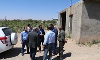 بازدید معاون وزیر جهاد کشاورزی از یک طرح عمومی  آبیاری تحت فشار در شهرستان تاکستان