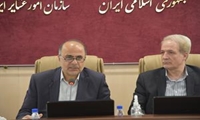 تدوین برنامه حفظ دام سبک عشایری ضروری است