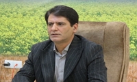 استفاده از گونه بومی اُرس در برنامه کاشت یک میلیارد اصله نهال