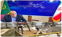 خرید گندم در سیستان و بلوچستان به مرز 9500تن رسید