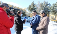مطلوبیت گندم کردستان 60 درصد افزایش یافته است