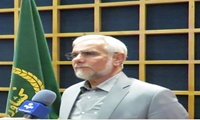 استان بوشهر در تولید بذر گندم خودکفا شد