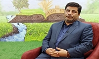 افزایش قیمت خرید تضمینی  کلزا  به30 هزار تومان